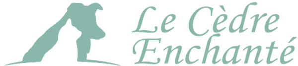 Elevage du Cedre Enchante