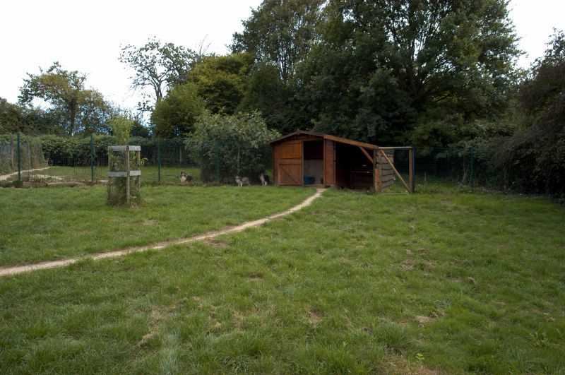 Elevage du Cèdre Enchanté