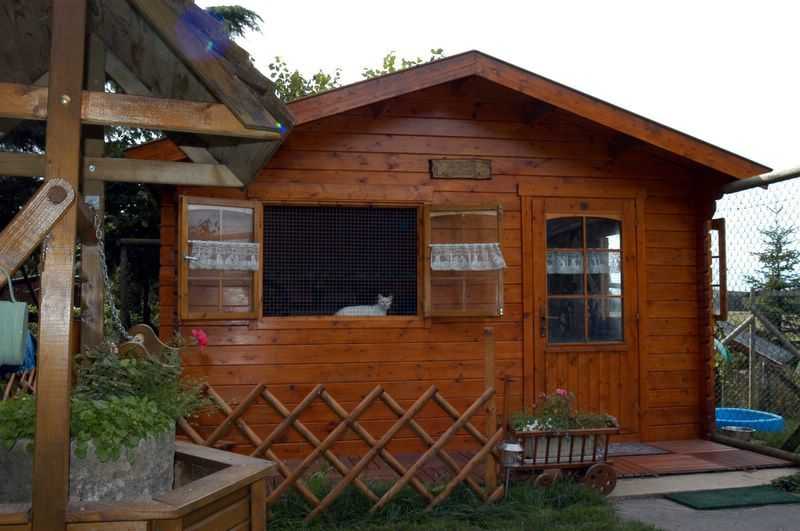 Elevage du Cèdre Enchanté