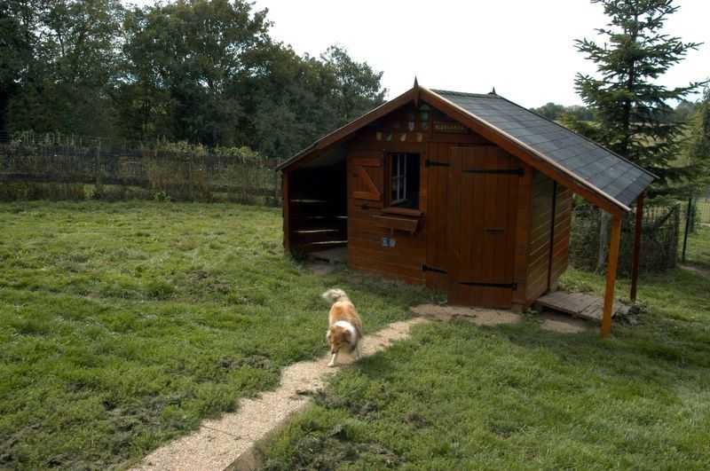 Elevage du Cèdre Enchanté