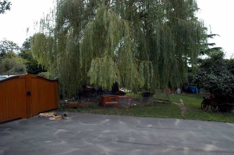 Elevage du Cèdre Enchanté