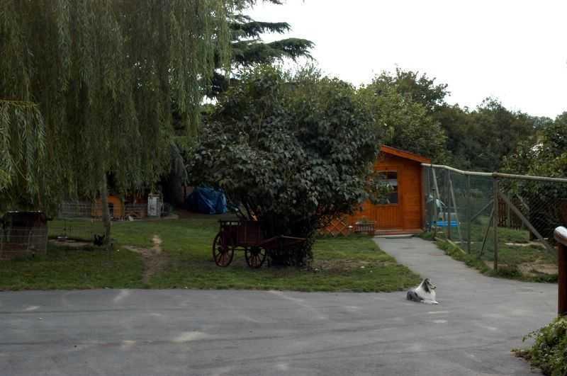 Elevage du Cèdre Enchanté