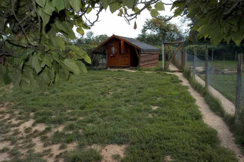 Elevage du Cèdre Enchanté