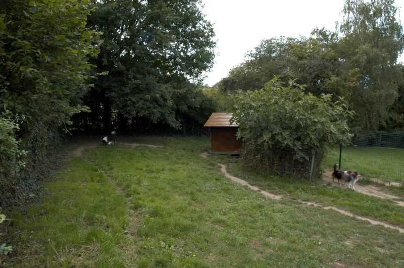 Elevage du Cèdre Enchanté