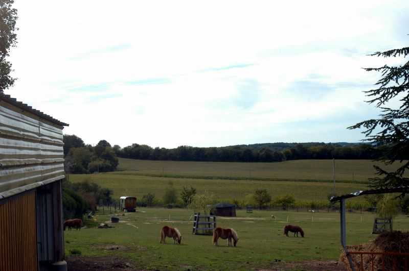 Elevage du Cèdre Enchanté