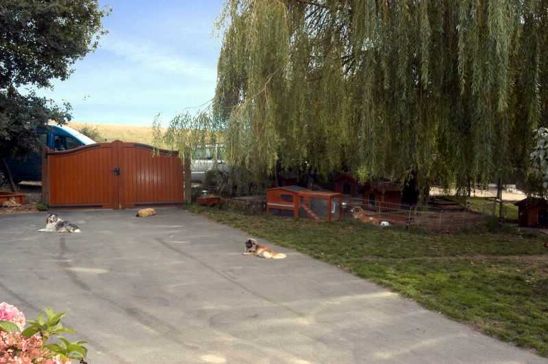 Elevage du Cèdre Enchanté