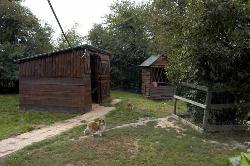 Elevage du Cèdre Enchanté